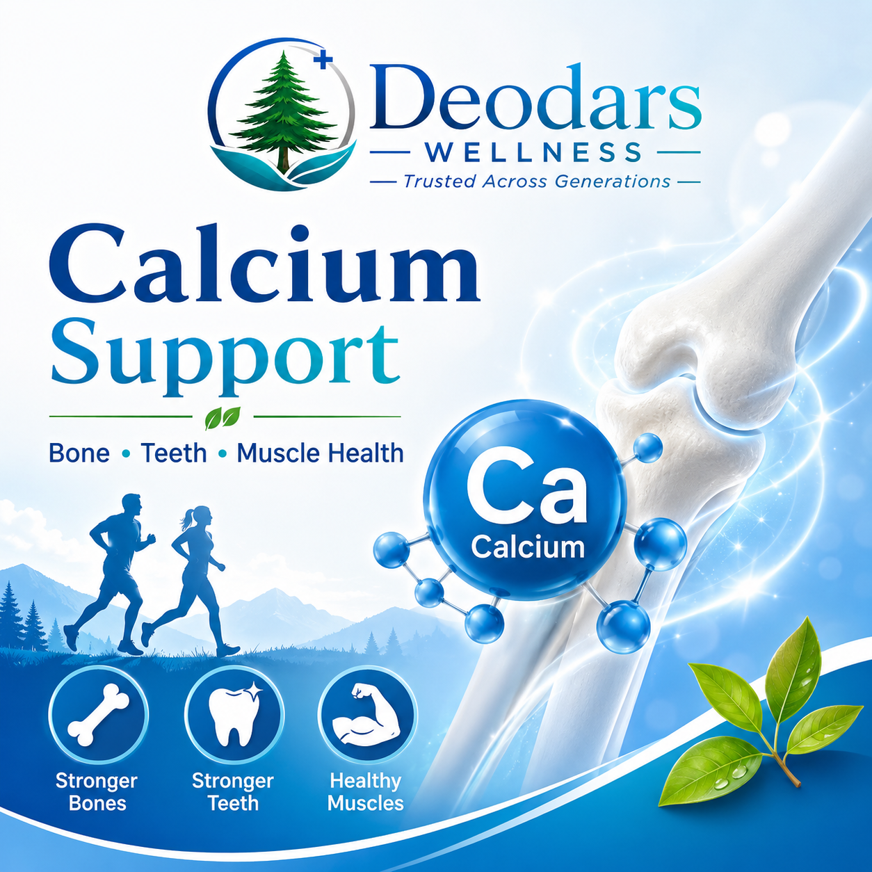 Calcium Supplement
